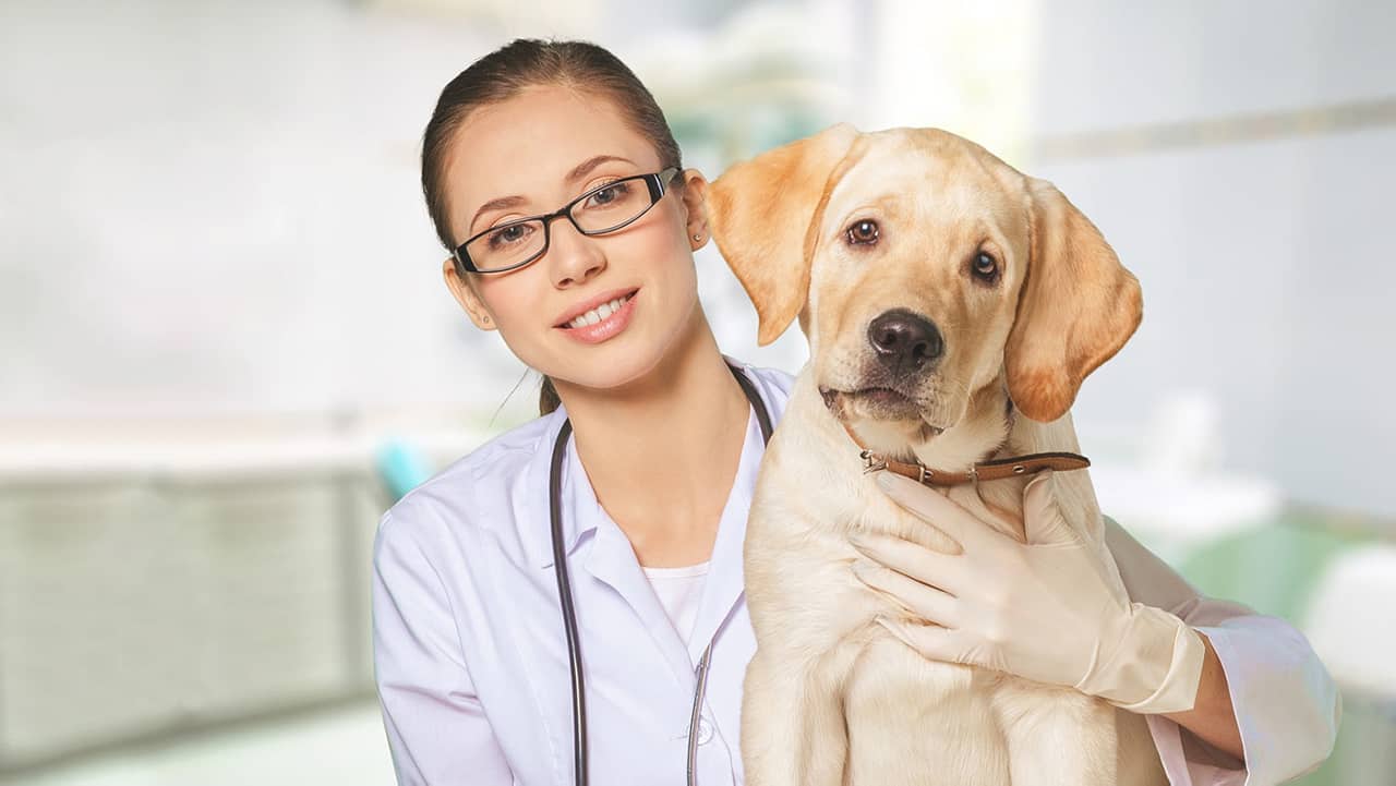 Tuyển sinh Trung cấp - Cao đẳng từ xa 65